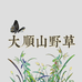 大顺山野草