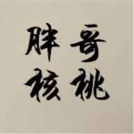 核桃胖哥企业店