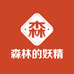 森林的妖精内衣