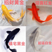 五湖锦鲤观赏鱼