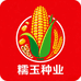 糯玉种业