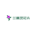 云南兰精灵花卉