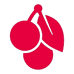CHERRY电脑外设旗舰店