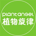 PLANT ANGEL植物旋律海外旗舰店