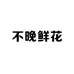 安达不晚鲜花