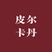 皮尔卡丹月完咏男装专卖店