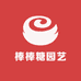 棒棒糖园艺三角梅
