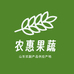 山东农惠生态果蔬