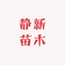 静新苗木