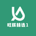旺辉精选1