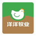 洋洋牧业