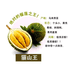 绿化资源果树苗