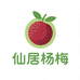 仙居杨梅水果小店