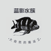 蓝影水族
