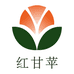 丹江红甘苹