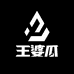 王婆瓜JST工装