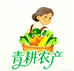 青耕农产严选小店