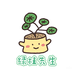 绿植先生