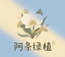 阿条绿植
