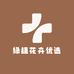 绿植花卉优选