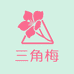 花卉甄选三角梅