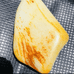 富贵籽玉6