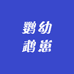 鹦幼鹉崽