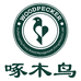 啄木鸟忘能变女鞋店