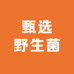 野生菌土特产商行