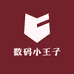 数码小王子