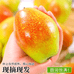 中野水果甄选