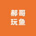 郝哥玩鱼