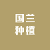国兰种植