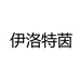 伊洛特茵钻石旗舰店