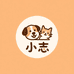 小志宠物生活用品