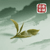羽巷茶事