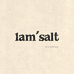 1amsalt一点盐