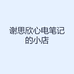 谢思欣心电笔记的小店
