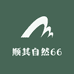 顺其自然66