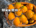 甜蜜蜜金桔