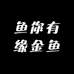 鱼你有缘金鱼