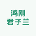 鸿刚君子兰花卉