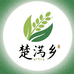 楚沔乡食品店