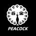 PEACOCK孔雀怀炉