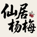 仙居东魁杨梅好货