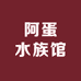 阿蛋水族馆