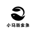 小马哥金鱼