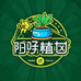 阳仔植语