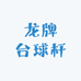 龙牌台球杆