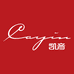 Cayin凯音官方旗舰店